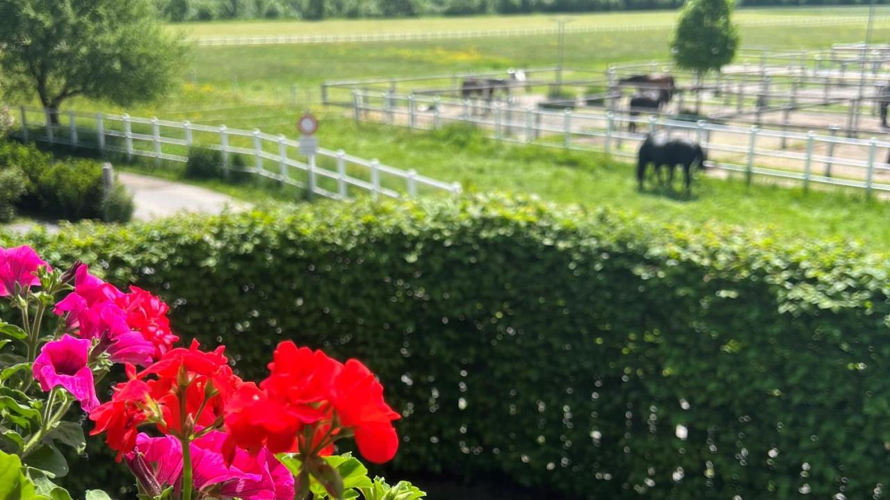 Villa Rosa-Panorama App Haslach Экстерьер фото